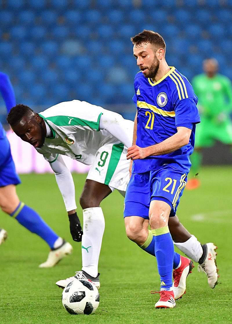 波黑队表现抢眼，晋级欧锦赛四强