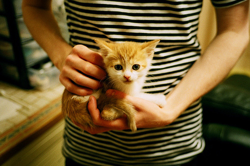 库里助阵上海队，节奏掌控尼克斯，末节接管定胜局